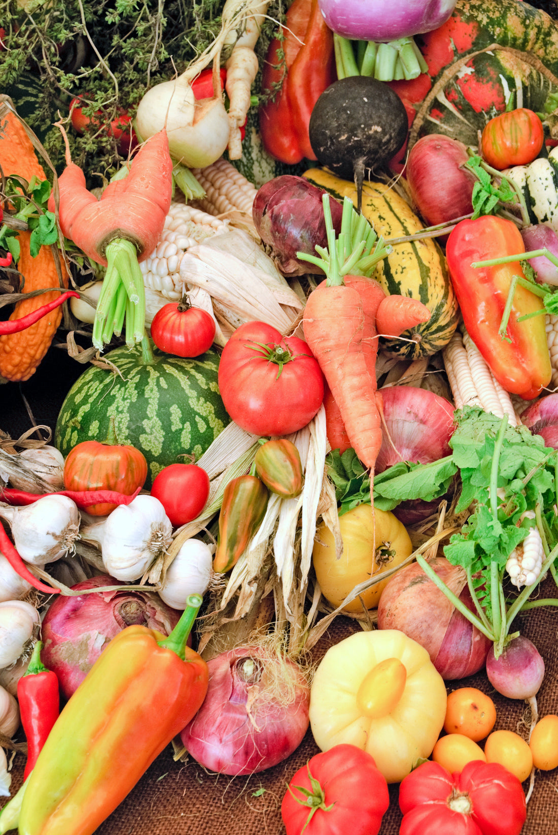 "you are what you eat"