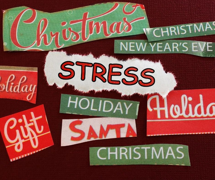 Tips for Reducing Stress During the Holiday Season
