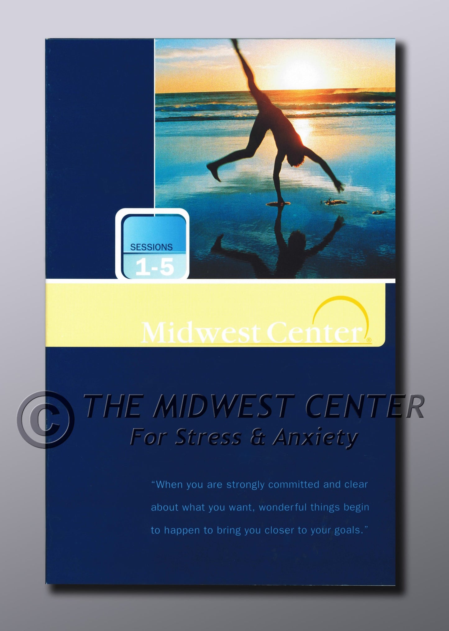 Official Program: Sessions 1-5 only - Attacking Anxiety & Depression®